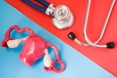 Ovulatory Dysfunction: What Is it and How to Deal with It?