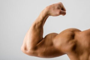 6 Foods that Help Increase Muscle Mass