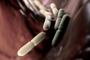 Auto-fermentation Syndrome: Why Does it Occur?