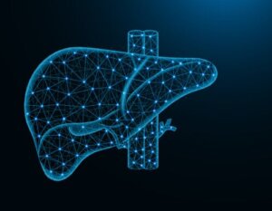 Portal Hypertension: Causes, Symptoms, Diagnosis and Treatment