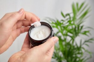 Illipe Butter: Characteristics, Uses, and Benefits