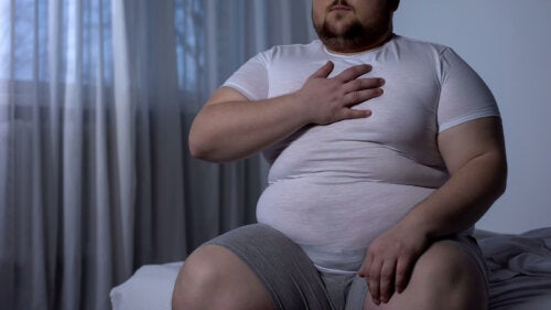 Obesity Influences the Severity of the Flu