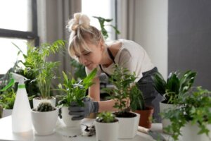 Chelated Iron: How Can it Benefit Your Plants?