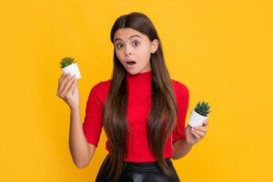 Are Cactus and Succulents the Same Thing? Find Out Why They're Not