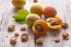 What Do We Know About Apricot Seeds?