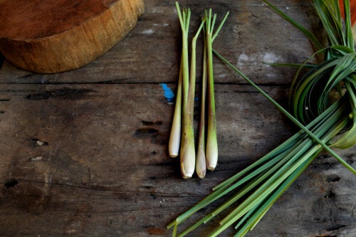 How to Plant and Use Citronella at Home