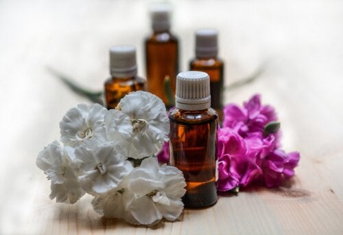 20 Essential Oils You Should Have During the Winter