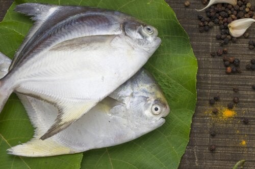 Palometa, A Fish That's Abundant in Protein