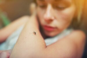 Dengue Vaccine: Everything You Need to Know About It