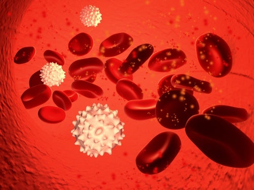Juices to Strengthen the Immune System
