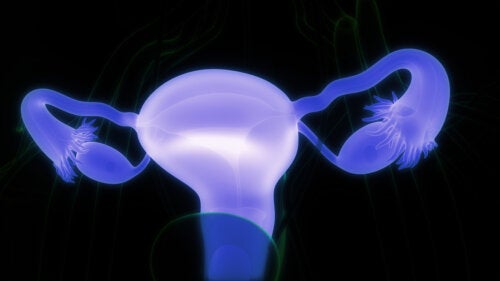 Ovarian Dermoid Cysts: Symptoms and When to See a Doctor