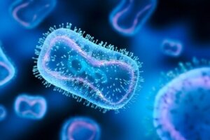 The 13 Most Dangerous Viruses for Humans