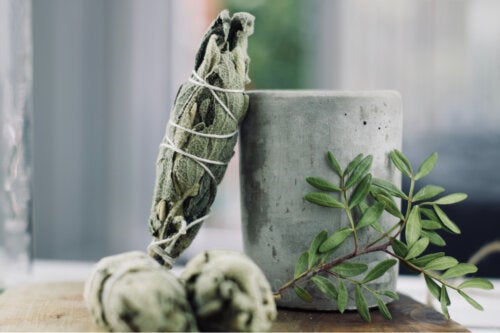 Learn How to Cleanse Your Home with Sage