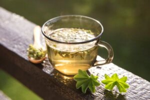 Alchemilla: Does It Help to Relieve Menstruation Symptoms?