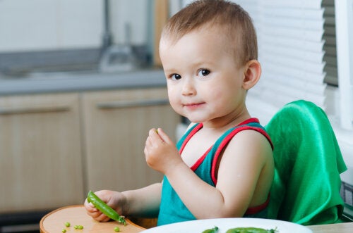 When to Introduce Legumes into a Baby's Diet?