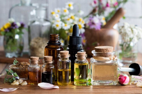 The 10 Best Carrier Oils for Your Essential Oils
