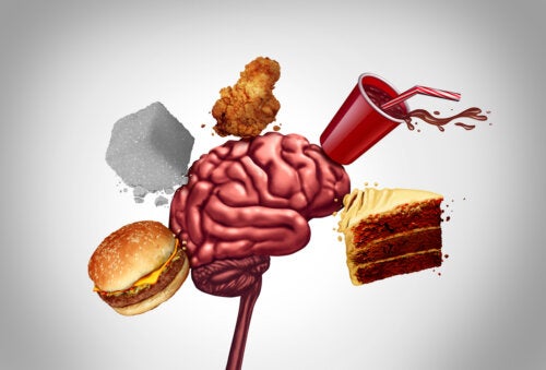 What Are the Effects of Ultra-processed Foods on Mental Health?