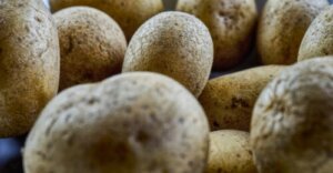 Andean Chuño: Properties and Uses