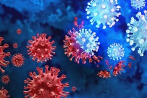 XBB.1.5 or Kraken: The Most Contagious COVID-19 Variant