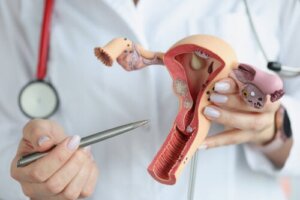 Rita Simons and Her Hysterectomy: When Is this Operation Necessary?