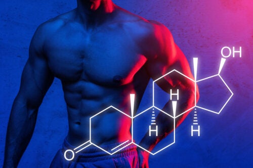 Protein Synthesis: We'll Explain How You Can Maximize Your Muscle Mass Gains