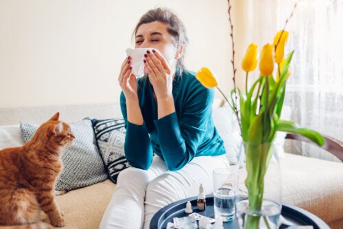 15 House Plants that Worsen Allergies