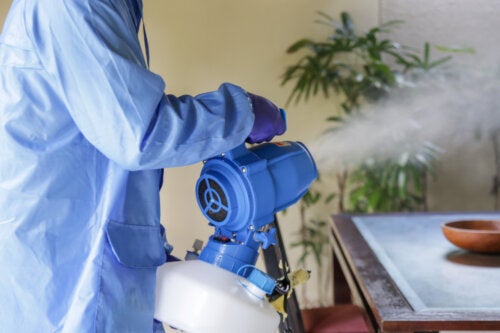 How to Clean Up After a Fumigation - Steps and Tips