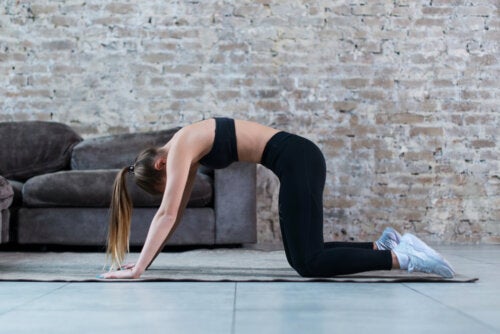 What Types of Physical Exercise Are There?