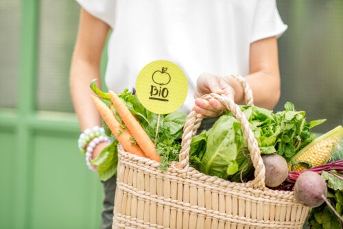 Ethical Eating: Characteristics, Principles and Benefits