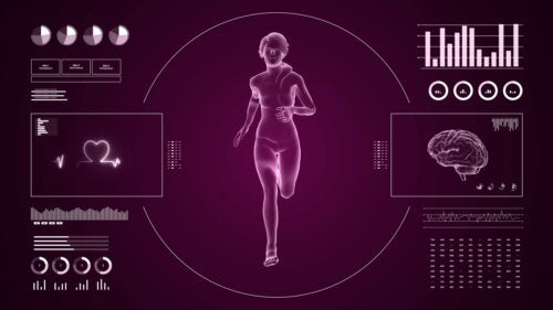 What Are Conditional Physical Capacities?