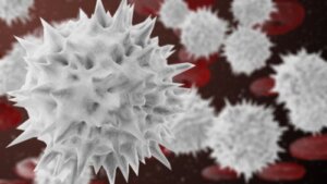 Segmented Neutrophils: What Are They and When Do They Change?