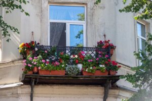 The 20 Best Sun-Proof Hanging Plants