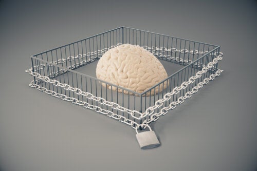 What Are Inflexible Standards?