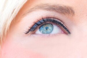 Eyebrow Grafting: What Is It and What Are The Advantages?
