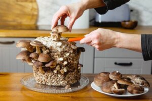 A Beginner's Guide to Growing Edible Mushrooms