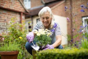 Do You Know What a Slow Gardening Is?