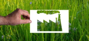 How to Identify Greenwashing