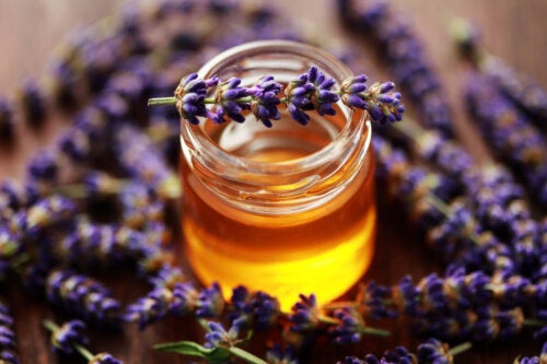 Lavender Honey: Benefits and Uses
