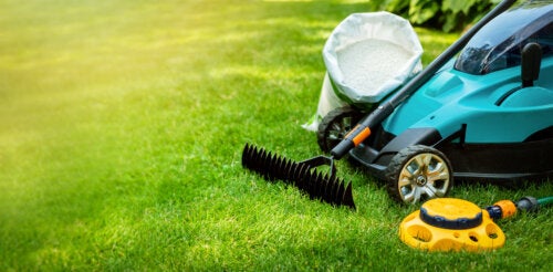 Simple Steps to Maintain a Healthy Lawn in the Spring