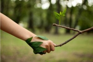 The 14 Best Quotes for Nature Lovers