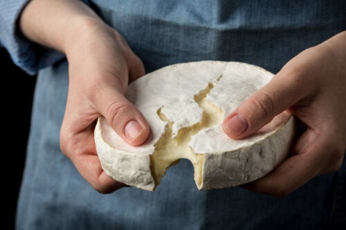 Camembert cheese: nutritional value and benefits