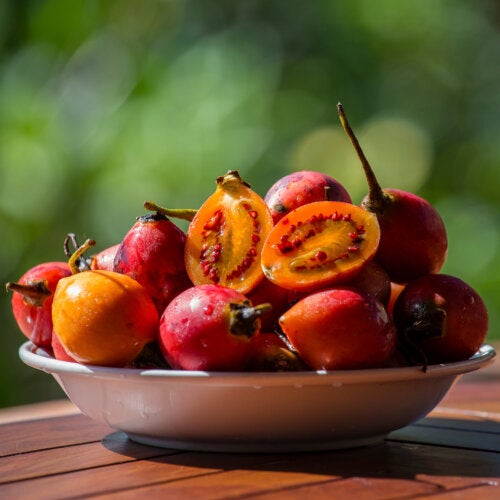 6 Benefits of the Tamarillo
