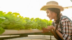 8 Tips for Successful Hydroponic Crops