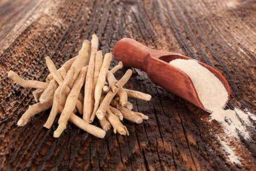 The Benefits and Contraindications of Ashwagandha