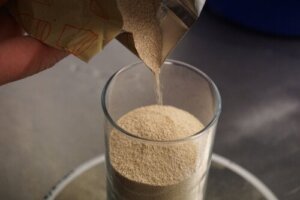 Does Brewer's Yeast Help Increase Muscle Mass?