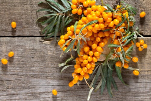 Sea Buckthorn: Learn The Health Benefits