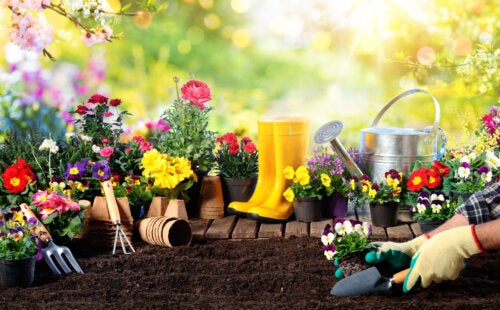 10 Essential Tools to Take Care of Your Garden During Springtime