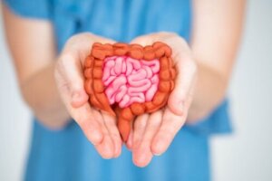 Taking Care of Your Microbiota Helps to Improve Menopausal Symptoms