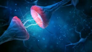Synaptic Pruning: What Is It and Why Is It So Important?