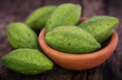 What is Haritaki and What Are Its Health Benefits?